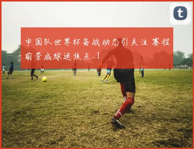中国队世界杯备战动态引关注 赛程前景成球迷焦点_1