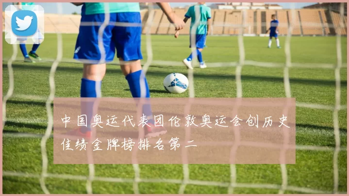 中国奥运代表团伦敦奥运会创历史佳绩金牌榜排名第二