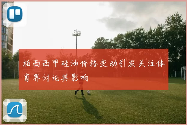 柏西西甲硅油价格变动引发关注体育界讨论其影响