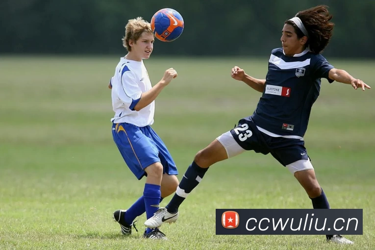 必一·运动(Bsports)官网 - Online Platform品牌故事