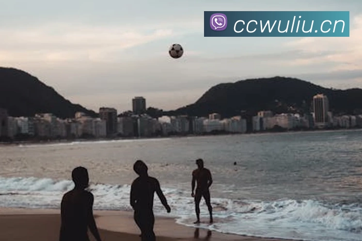 必一·运动(Bsports)官网 - Online Platform服务体系